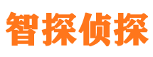 泗洪调查公司